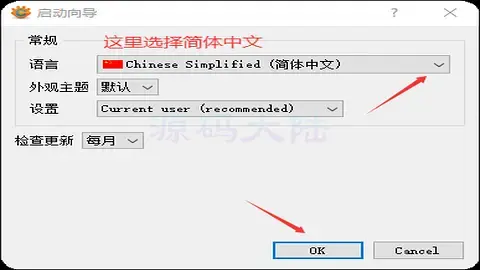 XnView MP 设置语言界面